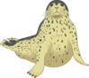 Spotted Seal Clip Art